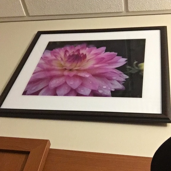 Meet your Posher, Logan - Picture 1 of 1